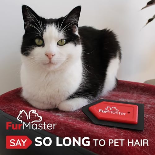 JJ KENT FurMaster - Removedor de Pelo para Mascotas - Ideal para Muebles y Vehículos - Elimina Pelo de Perros y Gatos - imagen 3