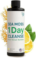 Atlantic Naturals - Bebida Detox de 1 Día para Limpiar el Colon - Suplemento de Musgo Marino para Hombres y Mujeres, Salud Digestiva, Energía y - imagen 1