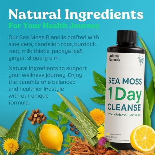 Atlantic Naturals - Bebida Detox de 1 Día para Limpiar el Colon - Suplemento de Musgo Marino para Hombres y Mujeres, Salud Digestiva, Energía y - imagen 6