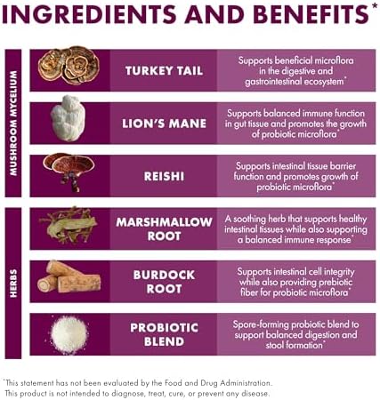 Host Defense MycoBotanicals Polvo Microbioma - Suplemento para Salud Digestiva e Inmunológica - Con Cola de Pavo, Melena de León y Reishi - 3.5 oz - imagen 5