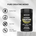 Creatina Monohidratada Micronizada UpNourish en Polvo 400 g - Sin Sabor, Vegana, Suplemento Instantáneo para Pre Entreno y Aumento Muscular, 80 - imagen 1
