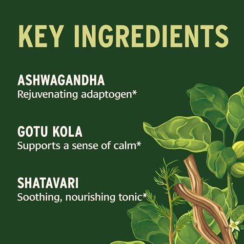 Banyan Botanicals Suplemento Orgánico para el Estrés – Apoyo Adrenal y Resiliencia – Ashwagandha y Shatavari para Fatiga – 90 Tabletas – Orgánico USDA - imagen 5