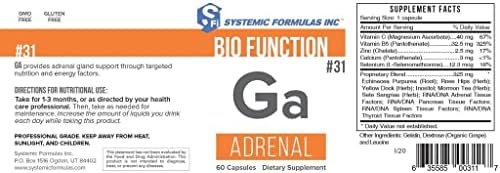 Systemic Formulas: #31 - Ga - Suplemento para las Glándulas Adrenales - imagen 2