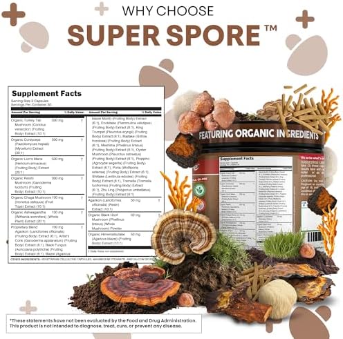 Suplemento de Hongos Orgánicos Turkey Tail en Cápsulas | Lions Mane, Cordyceps, Reishi, Chaga + Ashwagandha para Alivio del Estrés y Soporte - imagen 5