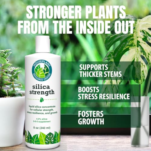 Suplemento de Silicio para Plantas – Fortalece Tallos, Soporta Hojas Erguidas y Mejora la Resiliencia al Estrés | Concentrado Líquido Listo para Usar - imagen 2