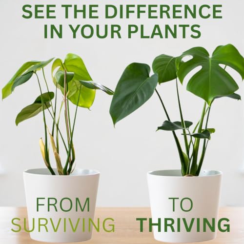 Suplemento de Silicio para Plantas – Fortalece Tallos, Soporta Hojas Erguidas y Mejora la Resiliencia al Estrés | Concentrado Líquido Listo para Usar - imagen 6