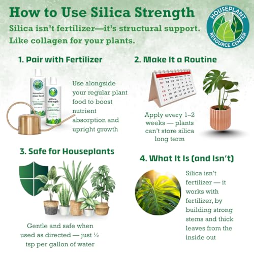 Suplemento de Silicio para Plantas – Fortalece Tallos, Soporta Hojas Erguidas y Mejora la Resiliencia al Estrés | Concentrado Líquido Listo para Usar - imagen 7