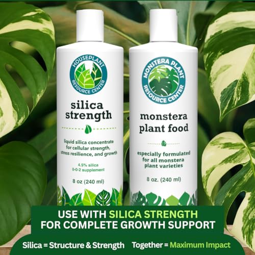 Suplemento de Silicio para Plantas – Fortalece Tallos, Soporta Hojas Erguidas y Mejora la Resiliencia al Estrés | Concentrado Líquido Listo para Usar - imagen 8