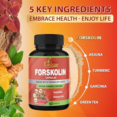 Suplementos de Forskolin Cadane en Cápsulas (2 Paquetes) con Cúrcuma, Arjuna, Garcinia Cambogia y Té Verde - Extracto de Coleus Forskohlii de Máxima - imagen 5
