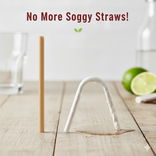 Paquete de 250 Popotes de Fibra de Agave – Sin Envolver, Biodegradables y Compostables, Alternativa Ecológica al Plástico – Tamaño Estándar de 8.3 – - imagen 5