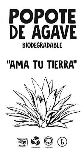 Paquete de 250 Popotes de Fibra de Agave – Sin Envolver, Biodegradables y Compostables, Alternativa Ecológica al Plástico – Tamaño Estándar de 8.3 – - imagen 7