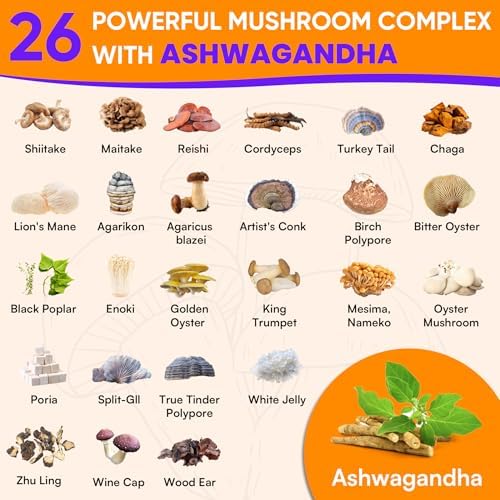 Gomitas de Hongo para Adultos 4000mg, Suplemento para Memoria y Concentración, Complejo de 26 Hongos con Ashwagandha y Melena de León, 120 piezas - imagen 4