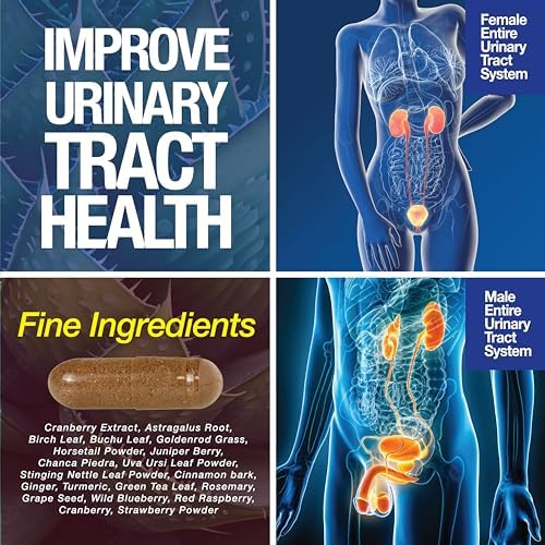 Saint Mingiano Suplemento de Apoyo para Riñones - 120 Cápsulas - Detox y Reparación con Arándano y Raíz de Astrágalo para Hombres y Mujeres | Alta - imagen 6