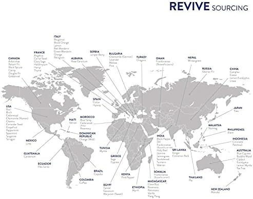 Vainilla de Revive Aceites Esenciales - 100% Puro Grado Terapéutico, Ideal para Difusores, Humidificadores, Masajes, Aromaterapia y Cuidado de Piel y - imagen 4