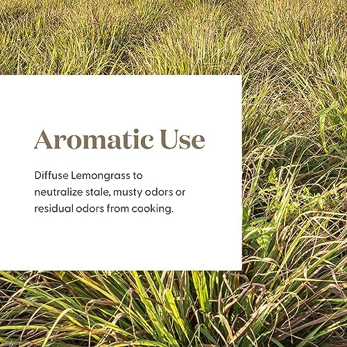 Aceite Esencial de Hierba Limón Young Living | 15 ml | Aroma Cítrico Fresco para Difusores, Masajes y Aromaterapia | Aceite Botánico Cymbopogon - imagen 6