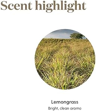 Aceite Esencial de Hierba Limón Young Living | 15 ml | Aroma Cítrico Fresco para Difusores, Masajes y Aromaterapia | Aceite Botánico Cymbopogon - imagen 7