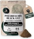 Polvo de Extracto de Hormiga Negra Jungle Powders 30:1, 94 Porciones - 5 Onzas de Suplemento Puro Polyrhachis, Sin Rellenos, Apoyo Tradicional para - imagen 1