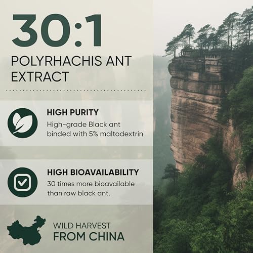 Polvo de Extracto de Hormiga Negra Jungle Powders 30:1, 94 Porciones - 5 Onzas de Suplemento Puro Polyrhachis, Sin Rellenos, Apoyo Tradicional para - imagen 4