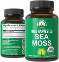 Cápsulas de Musgo Marino Orgánico Peak Performance - Suplemento Vegano Crudo de Algas Rojas - Extracto Completo de Musgo Irlandés - Apoyo Digestivo, - imagen 1