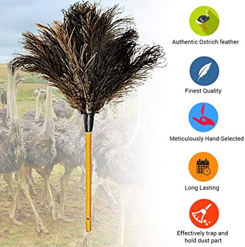 Duster Killer de Plumas de Avestruz MB03, 28 L, Grande - imagen 4