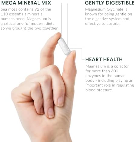 Nutritional Roots - Magnesio + Musgo Marino Irlandés - 350mg de Glicinato de Magnesio y Musgo Marino Orgánico - Suplemento Esencial - 30 Porciones - - imagen 3
