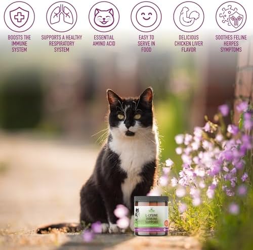 Strawfield Pets L-Lisina Granulados para Apoyo Inmunológico de Gatos y Gatitos - Suplemento de Salud Inmunológica, Alivio de Resfriado, 200 Porciones - imagen 7
