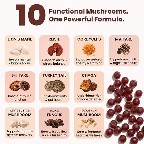 Gomitas de Hongo para Enfoque y Energía - 2500mg, 60 Gomitas de Melena de León para Adultos con Cola de Pavo, Reishi, Cordyceps y 6 más - Suplemento - imagen 3