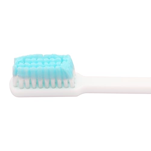 Cepillos de Dientes Reutilizables ReadyBrush con Pasta - Paquete de 30 - Hecho en EE. UU. - imagen 4