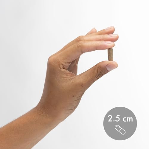 Dr. Mercola Beta Glucanos Fermentados - Apoyo al Sistema Inmunológico - Beta-1,3-Glucano y Fermentado de Levadura EpiCor - Vegetariano - Sin Lácteo - - imagen 6