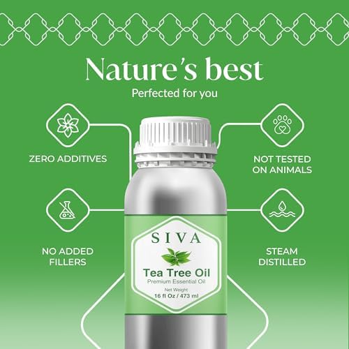 Aceite Esencial de Árbol de Té Siva - 16 Fl Oz - 100% Natural para Difusor, Cuidado Facial, Cuidado de la Piel, Aromaterapia, Cuidado del Cabello y - imagen 2