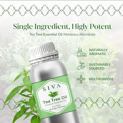 Aceite Esencial de Árbol de Té Siva - 16 Fl Oz - 100% Natural para Difusor, Cuidado Facial, Cuidado de la Piel, Aromaterapia, Cuidado del Cabello y - imagen 3