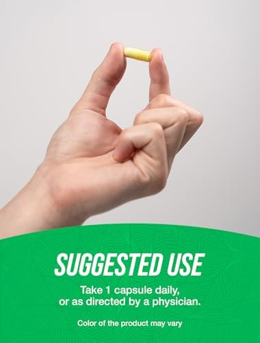 Cápsulas de Fisetina BulkSupplements.com - 100mg de Fisetina, Suplemento Antioxidante, Vegano y Sin Gluten, 1 Cápsula por Porción, 90 Cápsulas Veganas - imagen 4