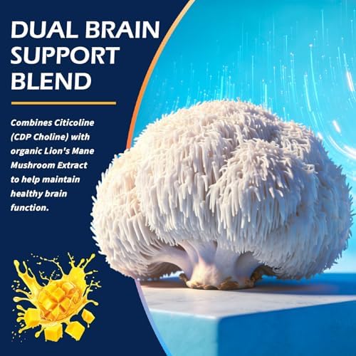 Elysx Gotas Líquidas de Citicolina 500mg, Suplemento para Niños y Adultos, Apoyo para la Salud Cerebral y Concentración con Extracto de Melena de - imagen 5