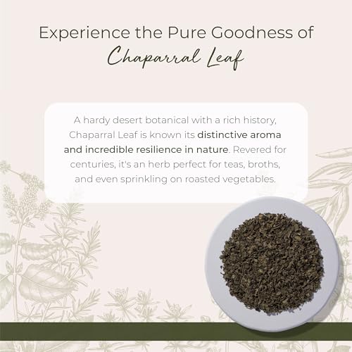 Hojas de Chaparral Silvestre Starwest Botanicals - Hierba Seca a Granel para Té, Proveniente del Arbusto de Creosote, Cortada y Tamizada - Bolsa de 1 - imagen 2
