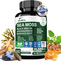 Cápsulas Alternativas de Gel de Musgo Marino Orgánico 16 en 1 – Mezcla de Superalimentos con Ashwagandha, Aceite de Semilla Negra, Cúrcuma y Más - imagen 1