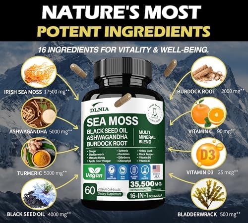 Cápsulas Alternativas de Gel de Musgo Marino Orgánico 16 en 1 – Mezcla de Superalimentos con Ashwagandha, Aceite de Semilla Negra, Cúrcuma y Más - imagen 2