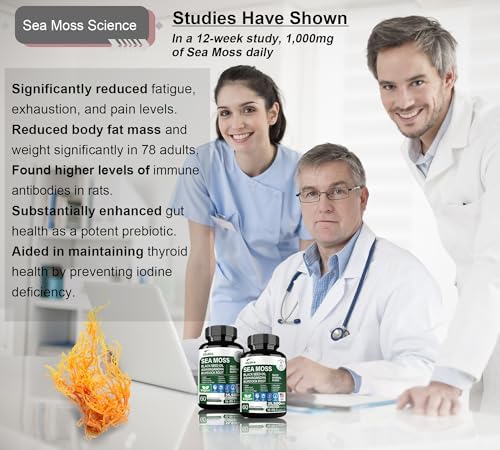 Cápsulas Alternativas de Gel de Musgo Marino Orgánico 16 en 1 – Mezcla de Superalimentos con Ashwagandha, Aceite de Semilla Negra, Cúrcuma y Más - imagen 4