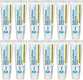 Ungüento Globe Triple Antibiótico + Alivio del Dolor, 1 Oz | Protección de Dolor e Infección por 24 Horas (Paquete de 12) - imagen 1