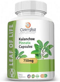 Kalanchoe Pinnata - Hoja de Vida (Bryophyllum Pinnatum) 60 Cápsulas de 750 mg en Botella - imagen 1