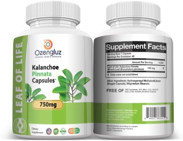 Kalanchoe Pinnata - Hoja de Vida (Bryophyllum Pinnatum) 60 Cápsulas de 750 mg en Botella - imagen 2