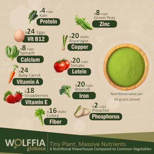 Superalimento Premium Wolffia globosa Deshidratada | Bajo en Carbohidratos, Alto en Proteínas 40% | Rico en Minerales y Vitaminas A, E, B12 | - imagen 2