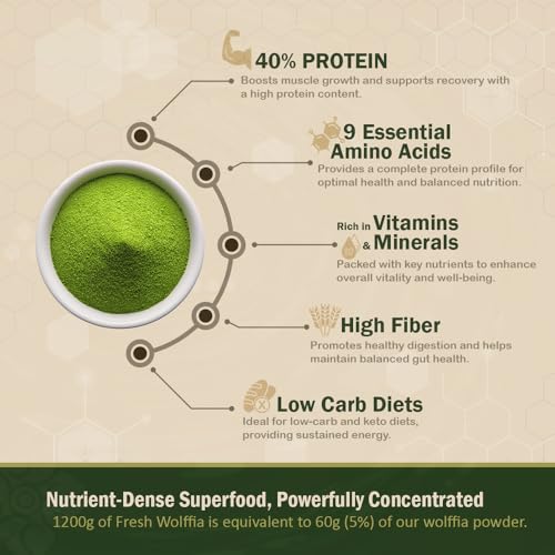Superalimento Premium Wolffia globosa Deshidratada | Bajo en Carbohidratos, Alto en Proteínas 40% | Rico en Minerales y Vitaminas A, E, B12 | - imagen 3