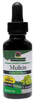 Nature's Answer Mullein Leaf | Suplemento Herbal | Apoya la Función Respiratoria Saludable | Sin OGM, Kosher, Sin Gluten y Sin Alcohol | 1oz (Paquete - imagen 1