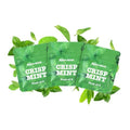 Boderi Doble Menta, 3 Paquetes, para Ayudar a Romper Hábitos Nocturnos de Forma Natural, 9 Núcleos en Total - imagen 1
