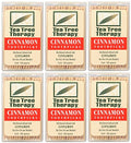 Palillos de Dientes de Canela Tea Tree Therapy (6x100 CT) - Paquete de 6, 600 Unidades - imagen 1