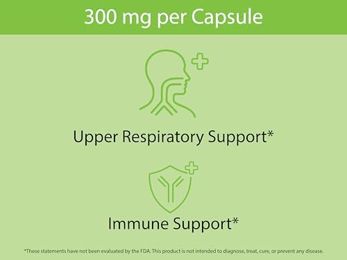 KOYAH - Cápsulas Orgánicas de Hoja de Ortiga - Hoja Entera Liofilizada - 300 mg por Cápsula - Soporte Respiratorio Superior e Inmunológico* - 60 - imagen 6