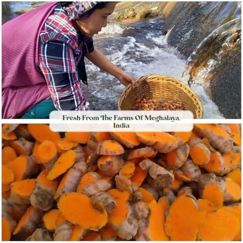 Polvo de Cúrcuma Lakadong de Mt.Meru Medicines, No GMO, Probado por Terceros, Seleccionado a Mano, Secado al Sol y Molido en Piedra (100g/3.53oz) - imagen 4