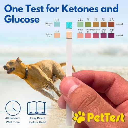Tiras de Prueba de Orina para Mascotas Advocate Pettest - 50 Tiras de Cetonas y Glucosa para Perros y Gatos, Monitoreo y Prevención de UTI - imagen 3
