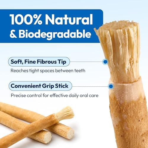 Palitos de Miswak Orgánicos Premium Imako para Limpieza Dental – Paquete de 10 con Estuche de Viaje – Ecológicos, Sin Desechos, Blanqueamiento - imagen 3