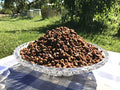 Pan de Abeja Orgánico 100% Fresco, Perga, Ambrosía, Polen Fermentado Naturalmente, 50g, Excelente Calidad, Empaque al Vacío. - imagen 1
